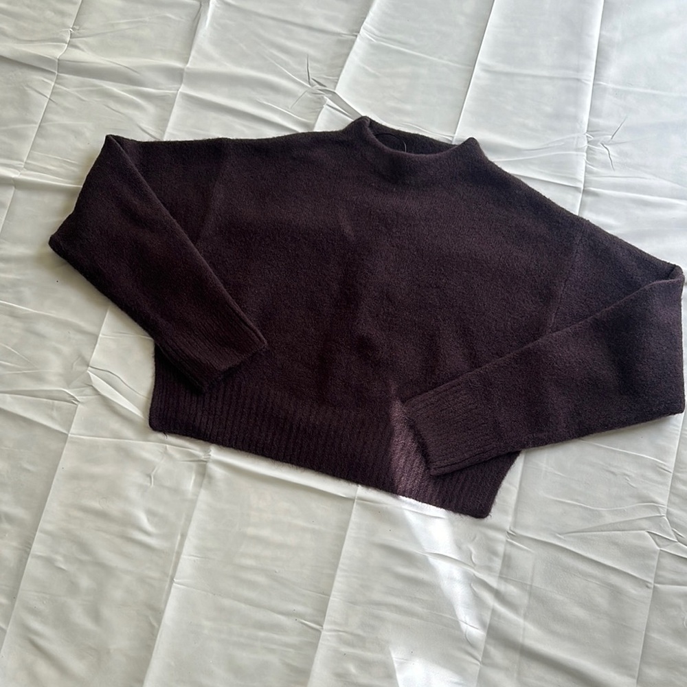 Zara Women’s Cropped Sweater (size Large)